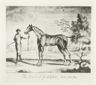 Silverlocks, foaled 1725 (b/w photo)
