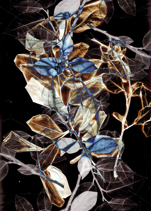 Freyr IX, 2018 (digital)