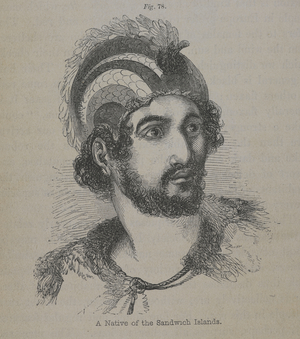 A native of the Sandwich islands.