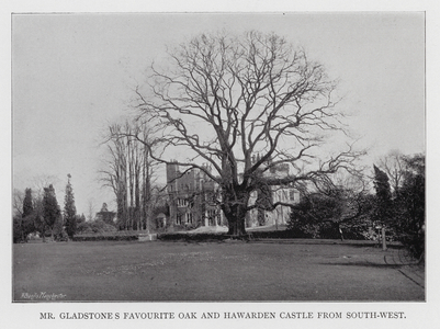 Mr Gladstone's favourite Oak and Hawarden Castle from south-west (b/w photo)