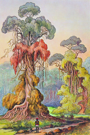 Sri Lanka: Trees hung with lianas in the Central Highlands. Watercolour by the German scientist and traveller Ernst Haeckel, c.1882.