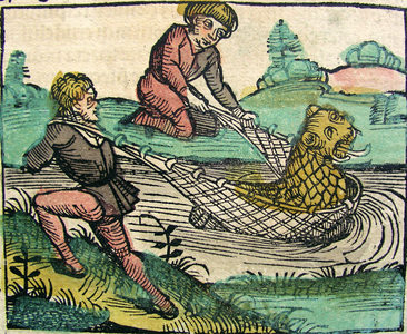Catching a Lion Cat fish Monster published in the Nuremberg Chronicle, 1493 (woodcut)