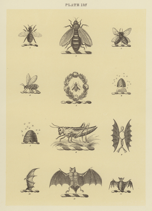 llustration for Fairbairn’s Book of Crests (engraving)