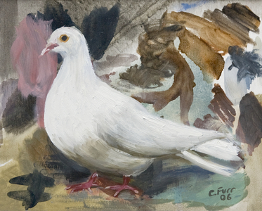 Dove, 2006 (oil on canvas)
