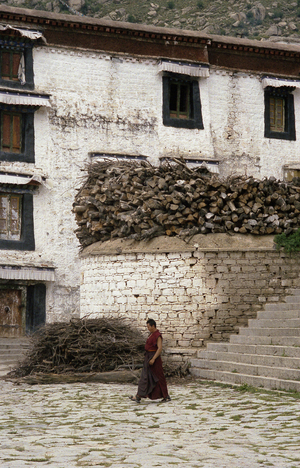 Tibetan monk walking in front of the firewood supply for the monastery kitchen at Drepung Monastery, Lhasa, Tibet, China, August 2004