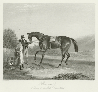 Ghuznee, foaled 1838 (b/w photo)