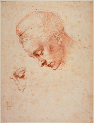 Studies for the head of 'Leda', 16th century (drawing)