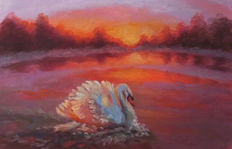 Onwards, Swan Swimming, 2024, (oil on canvas) Swan on water
