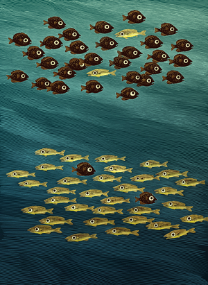 Fish, 2010 (scratchboard, colourized digitally)