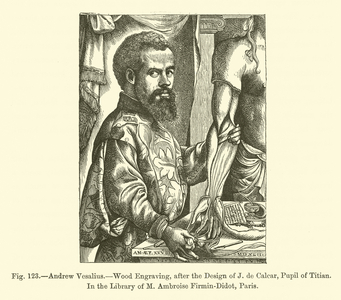 Andrew Vesalius (engraving)