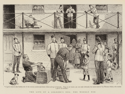 The Life of a Soldier's Dog, the Weekly Tub (engraving)
