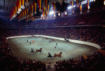 A crowd watches harness horses at a horse show., 1976 (photo)