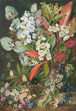 A selection of flowers from Mount Wellington, Tasmania, 1880 (oil on board)