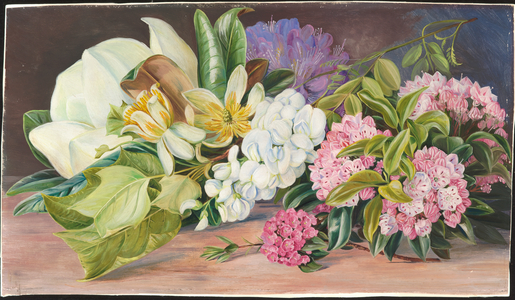 Flowers of North American trees and shrubs, 1870 (oil on board)