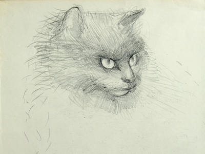 Head of Dark Cat (pencil on paper)