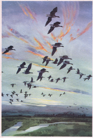 The Dumbles at daybreak (colour litho)