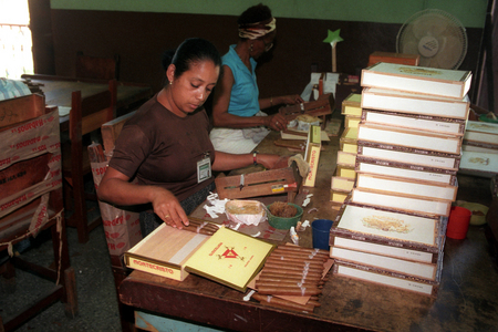 Women turners at the Partagas cigar factory in Havana..., 1999 (photo)