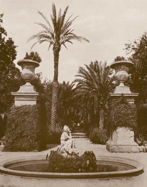 Palermo, Orto Botanico, Viale Delle Palme (b/w photo)