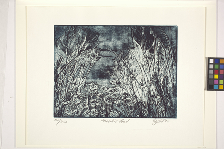 Moonlit Pond (etching and aquatint)