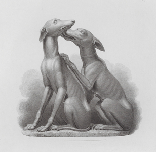 Group of two dogs, ancient Roman marble sculpture (engraving)