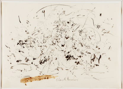 Blackberries, 1981 (charcoal, graphite & blackberry stain on paper)