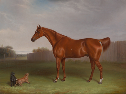 Adonis, 1843 (oil con canvas)