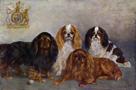 King Charles Spaniels (colour litho)