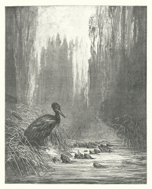 The Fables of La Fontaine: The Cormorant and the Fishes (engraving)