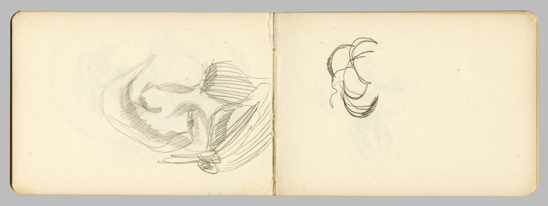 Page from a sketchbook