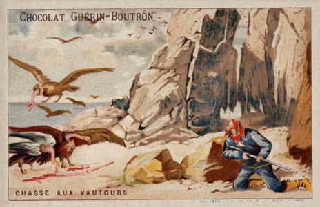 Hunting vultures (chromolitho)