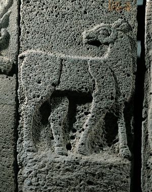 A horse (bas-relief)