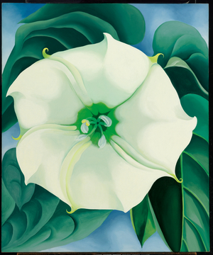 Jimson Weed/White Flower No. 1, 1932 (oil on canvas)
