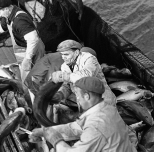 Lofoten 1958 outside Svolvær ..., 1958 (photo)