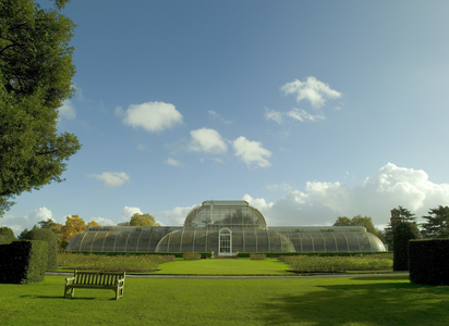 View of the Palm House, 2013 (photo)