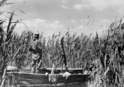 WW2 - Eastern Front - Kuban Bridgehead 1943 (photo)