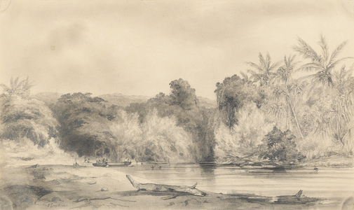Entrance to the Paiou river, Vanikoro island, 1838 (pencil on paper)