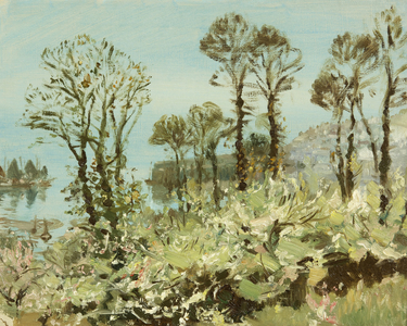 A Flowery Copse (oil on canvas)