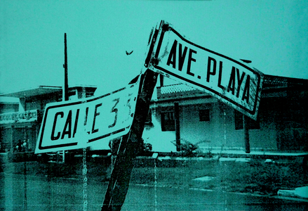 Green Sign, 2018 (screen print on paper)