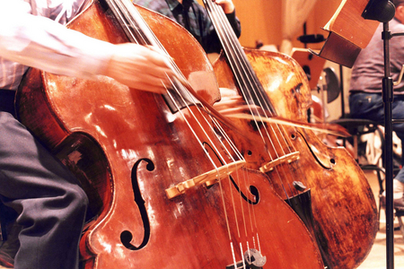 Orchestra rehearsal, 1995 (photo)