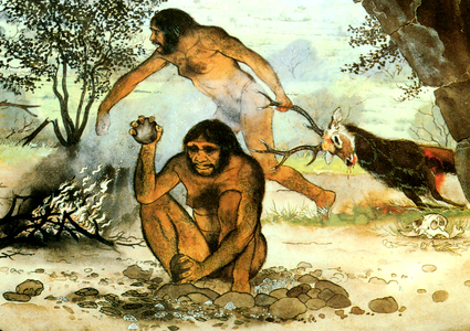 Homo erectus book plate (colour litho)