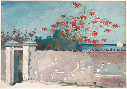 A Wall, Nassau, 1898 (w/c and graphite on paper)
