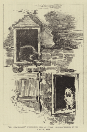 "Bon Jour, Madame!", hybernating Bears at Quebec, Honorary Members of the Battery Mess (engraving)