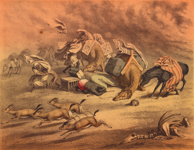 The great African desert (colour litho)