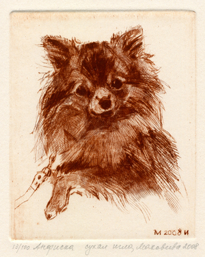Spitz, 2008 (drypoint)