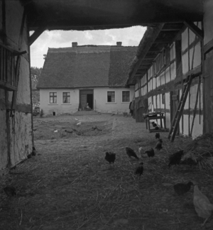 Old farm in Pomerania, 1930s (photo)