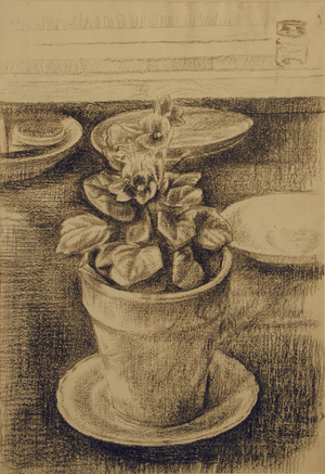 Still Life, African Violet in a flower pot, late 1960s (chalk on paper)