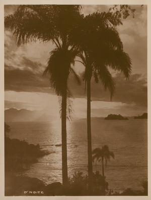 Rio de Janeiro at sunset (b/w photo)