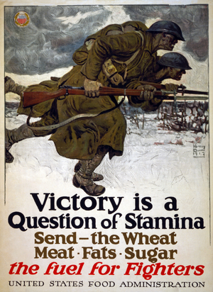 Victory is a Question of Stamina, 1917 (poster)