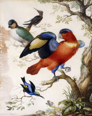 Four Birds in Wood,  (watercolour, bodycolour and gold ink)