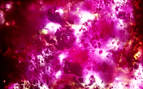 Orbit, 2019 (Negative)